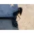 Puente Trasero para Alfa Romeo Mito (955_)