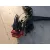 Puente Trasero para Alfa Romeo Mito (955_)