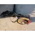 Puente Trasero para Alfa Romeo Mito (955_)