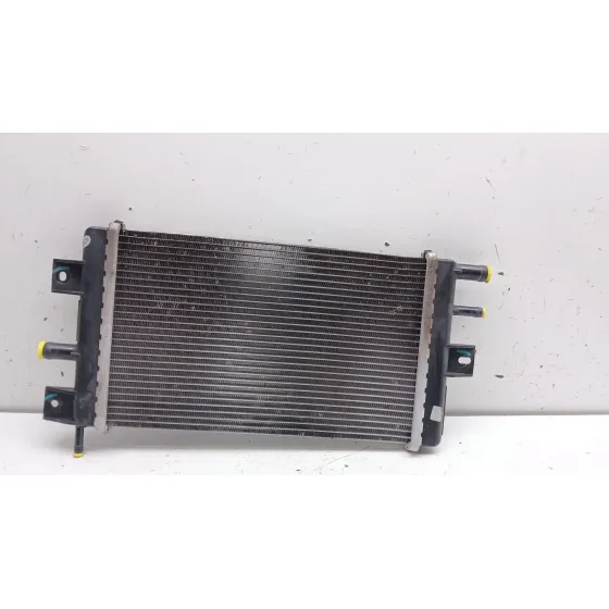 Radiador Agua para Dacia Spring