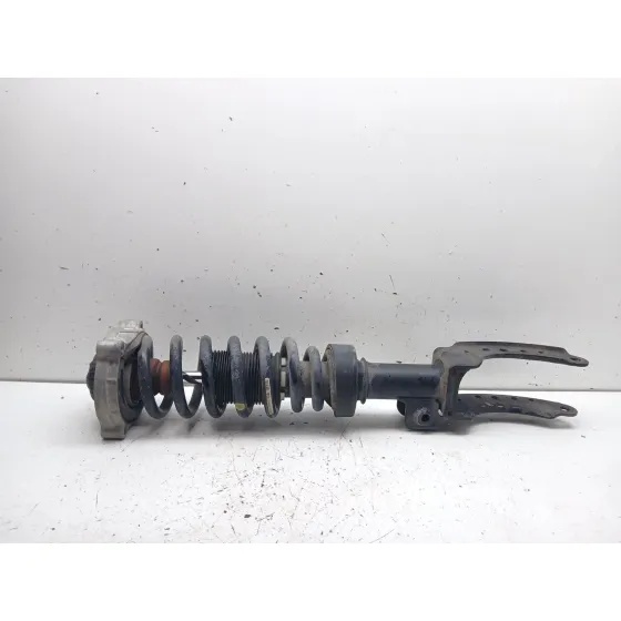 Amortiguador Delantero Izquierdo para Porsche Cayenne (9Pa)