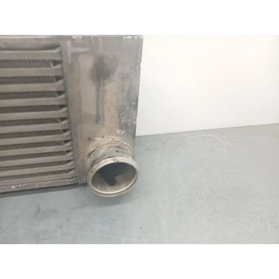 Intercooler para Mercedes-Benz Vito / Mixto Furgoneta (W639)