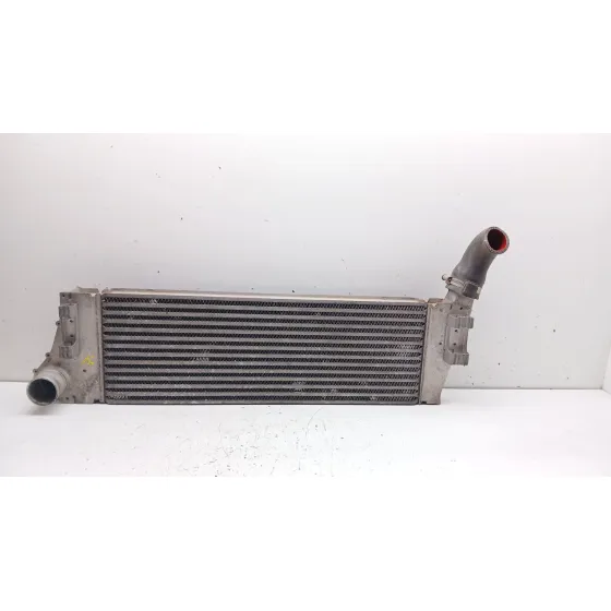 Intercooler para Renault Megane Ii (Bm0/1_, Cm0/1_)