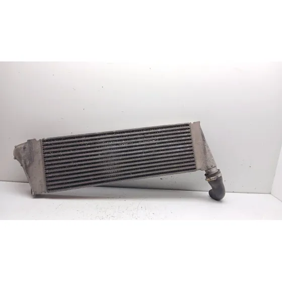 Intercooler para Renault Megane Ii (Bm0/1_, Cm0/1_)