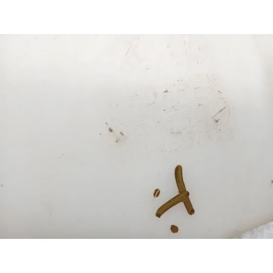 Deposito Limpia para Ford Puma (J2K, Cf7)