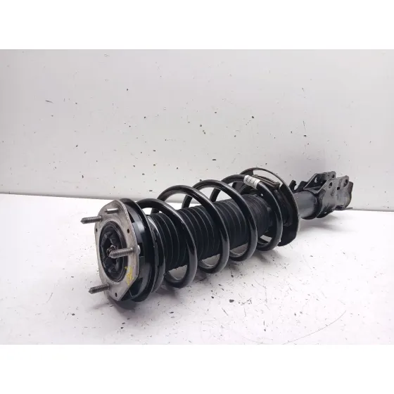 Amortiguador Delantero Izquierdo para Ford Puma (J2K, Cf7)