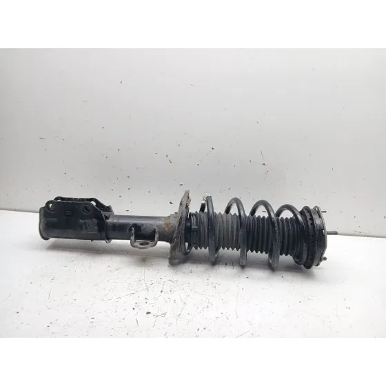 Amortiguador Delantero Izquierdo para Ford Puma (J2K, Cf7)