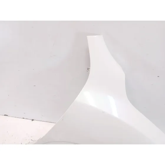 Aleta Delantera Derecha para Nissan Juke (F15)