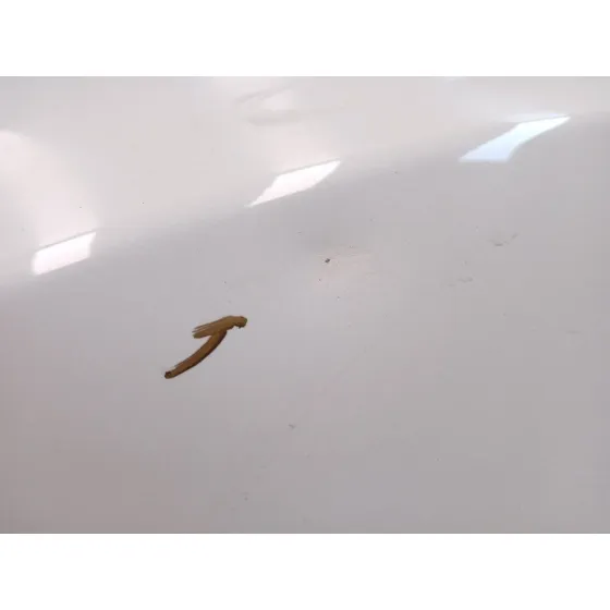 Puerta Trasera Izquierda para Nissan Juke (F15)