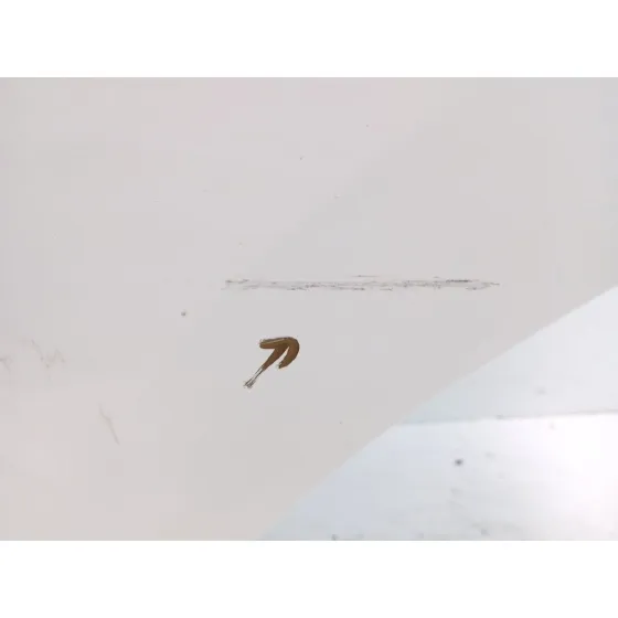 Puerta Trasera Izquierda para Nissan Juke (F15)