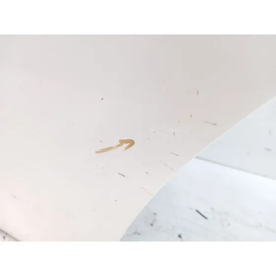 Puerta Trasera Izquierda para Nissan Juke (F15)