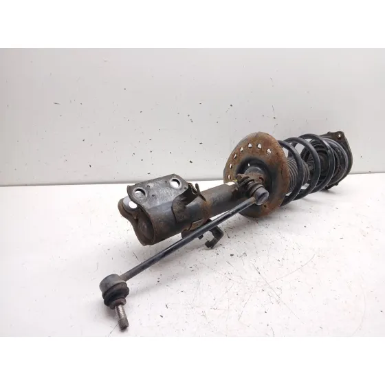 Amortiguador Delantero Izquierdo para Nissan Juke (F15)