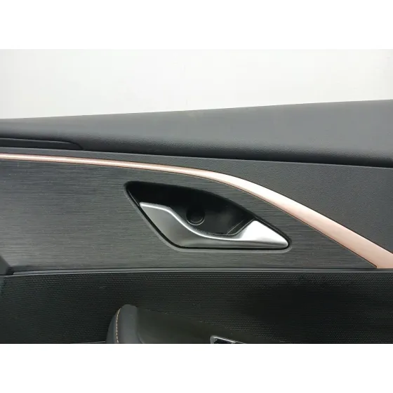 Guarnecido Puerta Delantera Derecha para Omoda 5