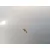 Aleta Delantera Izquierda para Seat Ibiza Iii (6L1)