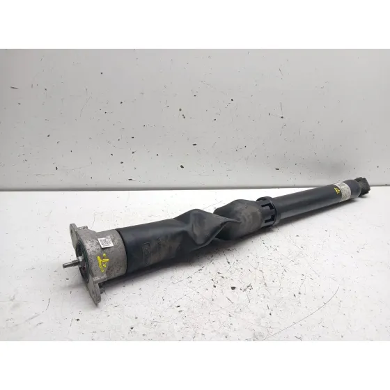 Amortiguador Trasero Derecho para Ford Puma (J2K, Cf7)