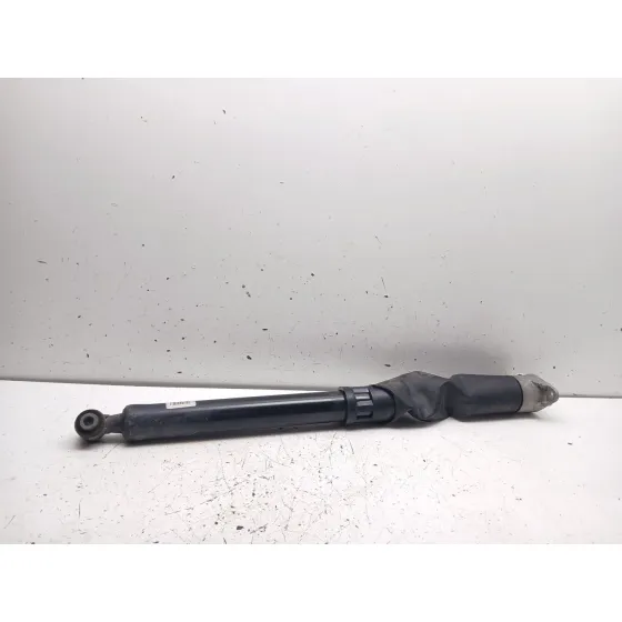Amortiguador Trasero Derecho para Ford Puma (J2K, Cf7)
