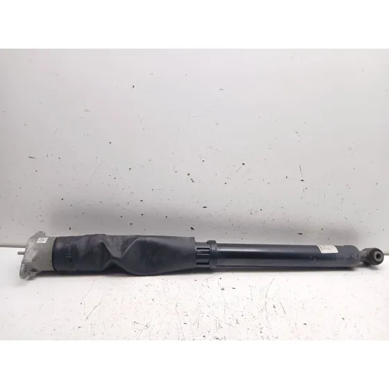 Amortiguador Trasero Izquierdo para Ford Puma (J2K, Cf7)