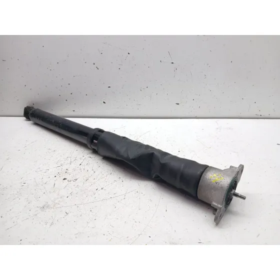 Amortiguador Trasero Izquierdo para Ford Puma (J2K, Cf7)