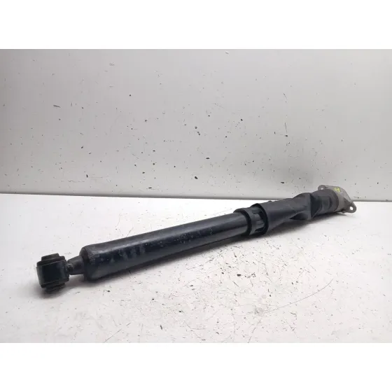 Amortiguador Trasero Izquierdo para Ford Puma (J2K, Cf7)