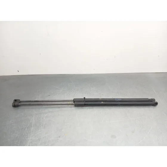Amortiguadores Maletero / Porton para Ford Puma (J2K, Cf7)