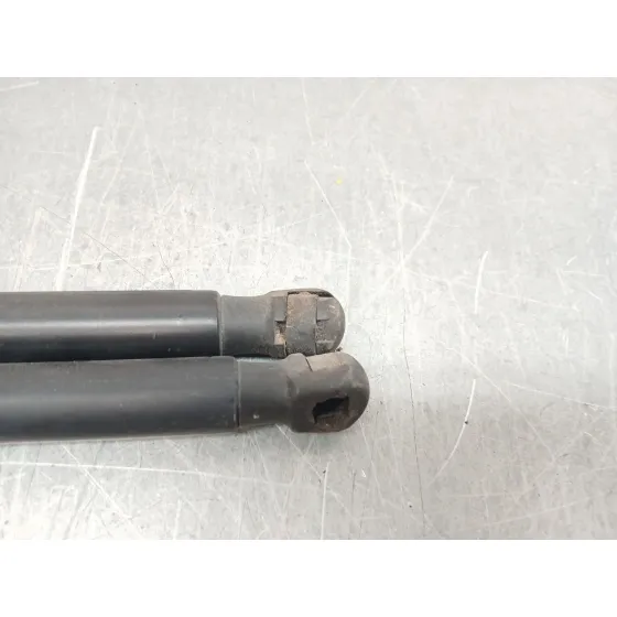 Amortiguadores Maletero / Porton para Ford Puma (J2K, Cf7)