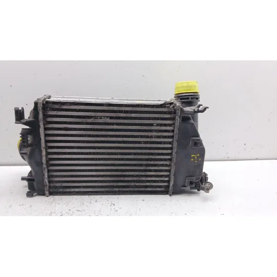 Intercooler para Renault Megane Iv Hatchback (B9A/M/N_)