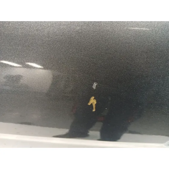 Puerta Trasera Izquierda para Ford C-Max Ii (Dxa/Cb7, Dxa/Ceu)
