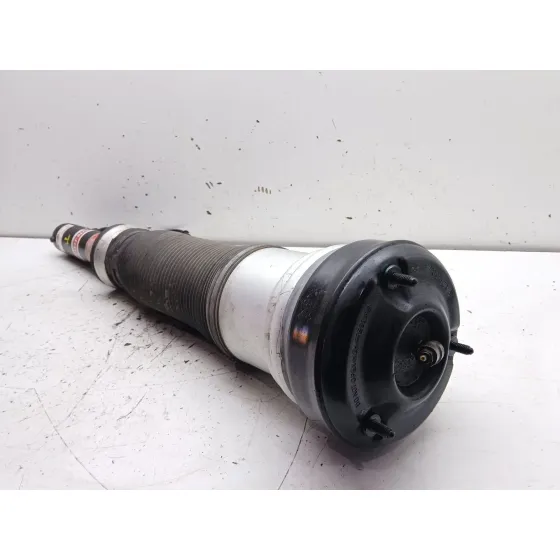Amortiguador Delantero Derecho para Mercedes-Benz Clase S (W220, V220)