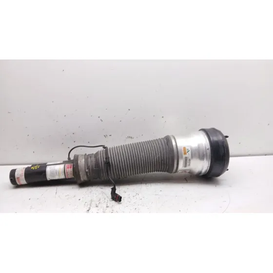 Amortiguador Delantero Izquierdo para Mercedes-Benz Clase S (W220, V220)
