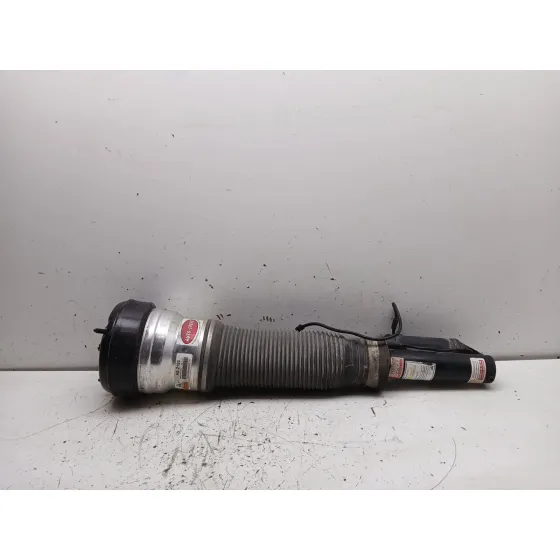 Amortiguador Delantero Izquierdo para Mercedes-Benz Clase S (W220, V220)