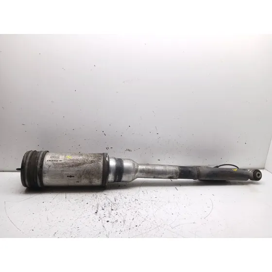 Amortiguador Trasero Derecho para Mercedes-Benz Clase S (W220, V220)