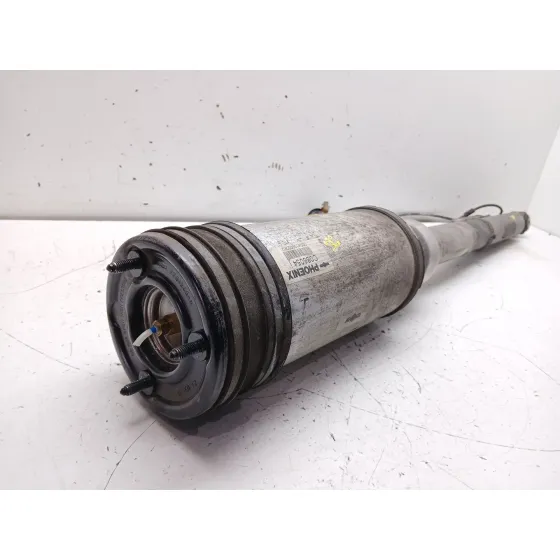 Amortiguador Trasero Derecho para Mercedes-Benz Clase S (W220, V220)