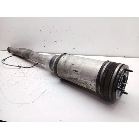 Amortiguador Trasero Derecho para Mercedes-Benz Clase S (W220, V220)