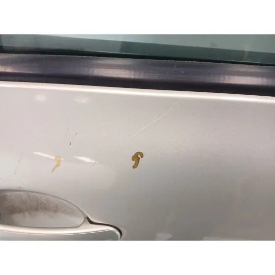 Puerta Delantera Derecha para Seat Altea (5P1)