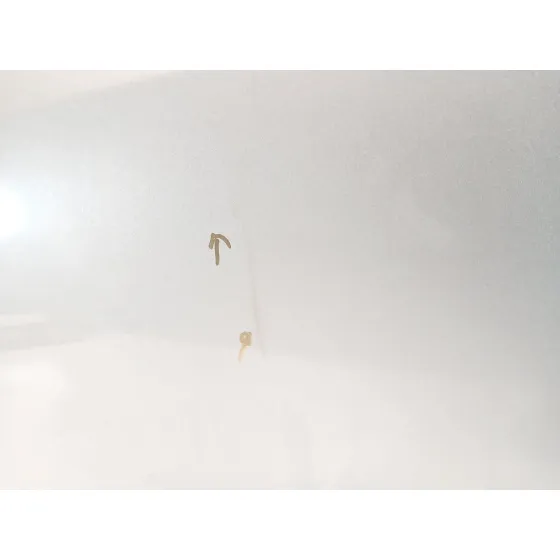 Puerta Delantera Izquierda para Toyota Corolla Verso (Zer_, Zze12_, R1_)