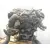 Despiece Motor para Mercedes-Benz Clase C (W204)