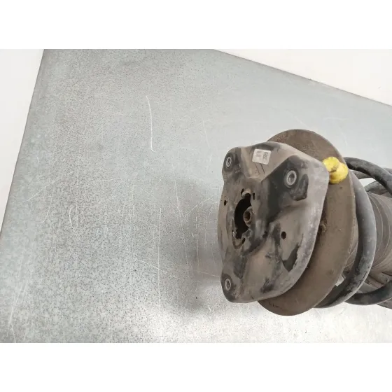 Amortiguador Delantero Izquierdo para Mercedes-Benz Clase C (W204)