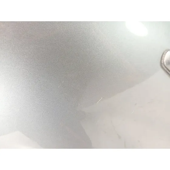 Puerta Trasera Izquierda para Jaguar Xf I (X250)