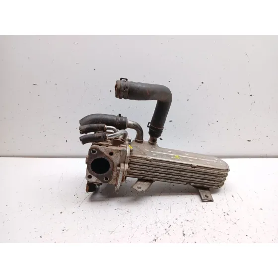 Enfriador Egr para Seat Leon (1P1)