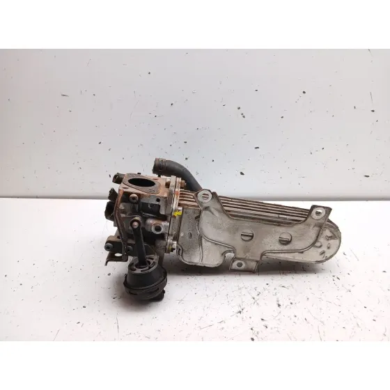 Enfriador Egr para Seat Leon (1P1)