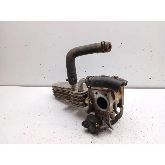 Enfriador Egr para Seat Leon (1P1)