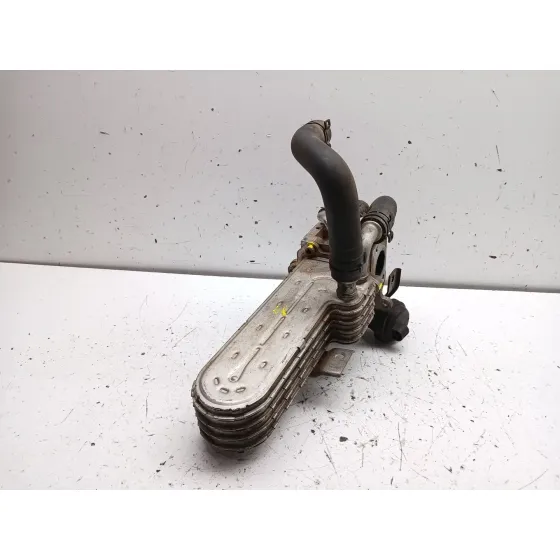 Enfriador Egr para Seat Leon (1P1)