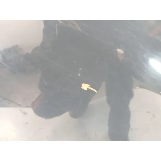 Puerta Trasera Izquierda para Peugeot 208 I (Ca_, Cc_)