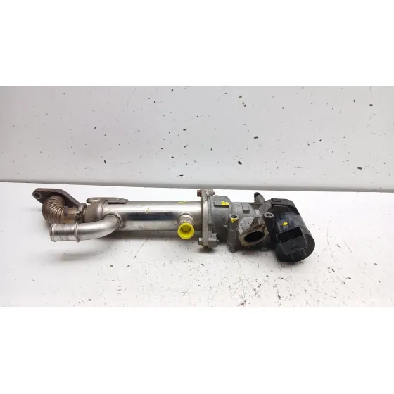 Enfriador Egr para Citroën C4 I (Lc_)
