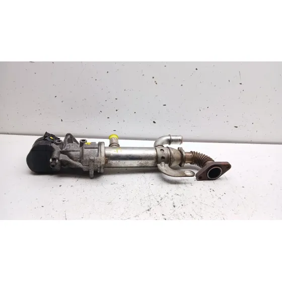 Enfriador Egr para Citroën C4 I (Lc_)