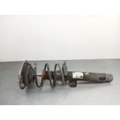 Amortiguador Delantero Izquierdo para Bmw 1 (F20)