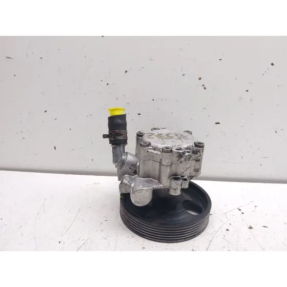 Bomba Direccion para Renault Trafic Caja Cerrada (Ab 4.01)
