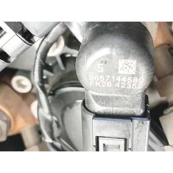 Motor Completo para Ford Focus C-Max (Dm2)