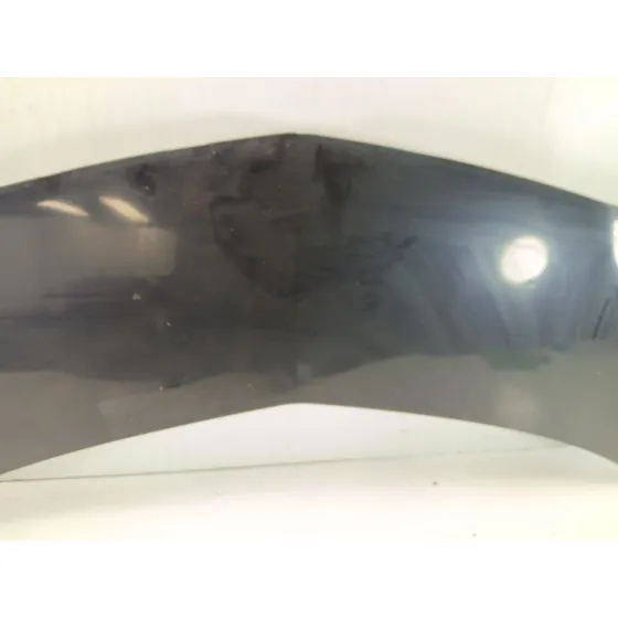 Capot para Renault Modus / Grand Modus (F/Jp0_)