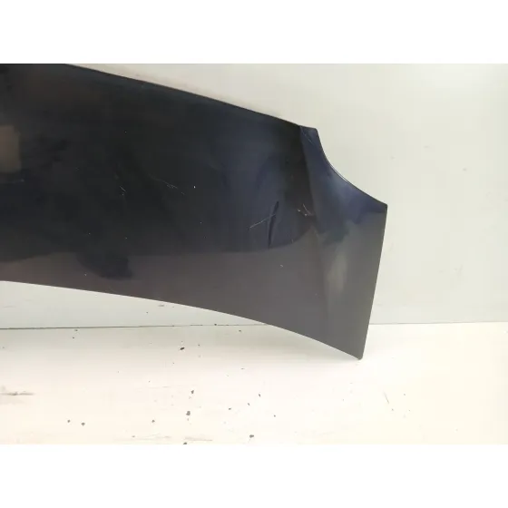 Capot para Renault Modus / Grand Modus (F/Jp0_)